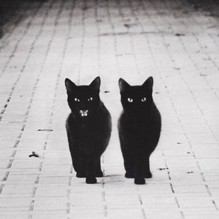 Логотип @opoccuu - Russia Chat Online