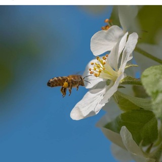 Логотип @opoleznomivkusnom - Полезные советы