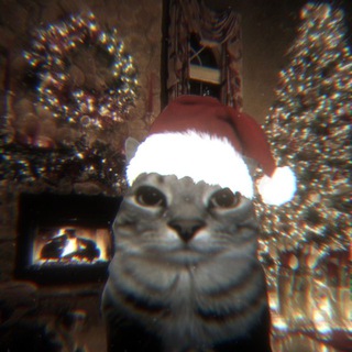 Логотип @oppakokoko - | Oppako |