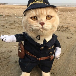 Логотип @oproshik7 - Опросничек Ru