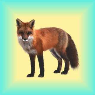 Логотип @oprosuk1 - Апросыэ