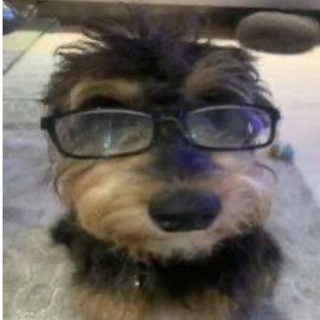 Логотип @opshiloh - полины тут нет