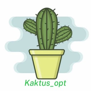 Логотип @opt_kaktus - KAKTUS_OPT