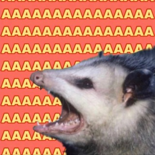 Логотип @optimisticopossum - öптимистичный опоссум