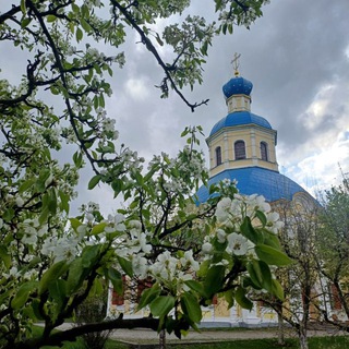 Логотип @optinapodvor - Московское подворье Оптиной Пустыни