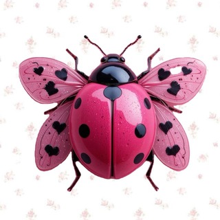 Логотип @optsizeplus - Ladybug. Женская одежда