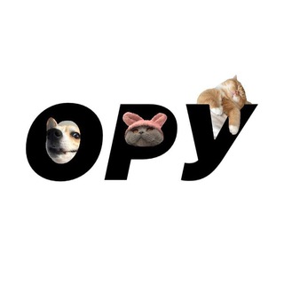 Логотип @opyiopy - оруіору
