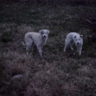 Логотип @oqibatuchunn - 😭Kechigkan xayot😭