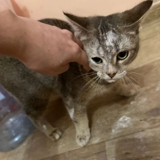 Логотип @oralkaaa - Оралово 🔞