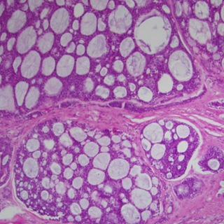 Логотип @oralpath_ru - Патология слизистой рта