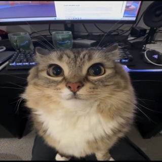 Логотип @orbitdesignnotssvuzy - Orbita design | Превью