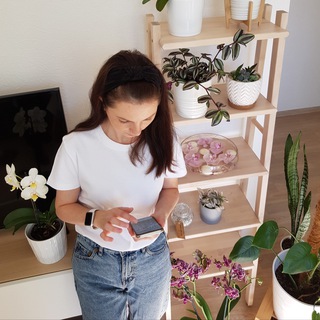 Логотип @orchid_katlo - Orchid_katlo