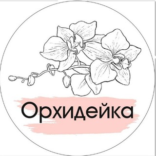 Логотип @orchid_nastena - Орхидейка