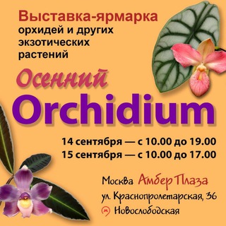 Логотип @orchidium_show - Орхидиум🪴💚