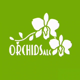 Логотип @orchidsale - Orchidsale - орхидеи в Ташкенте