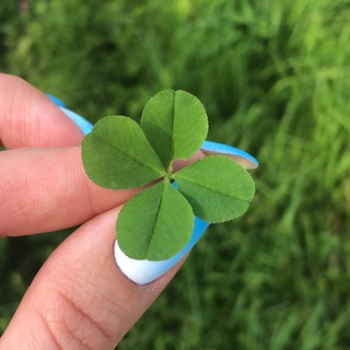 Логотип @ordinary_mi - Обыкновенное чу