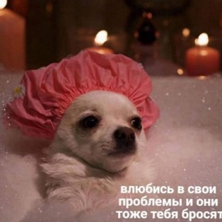 Логотип @ore0live - 𝚍𝚞𝚛𝚑𝚘𝚖𝚎..