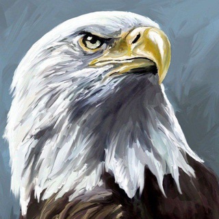 Логотип @orelswar - Орлы