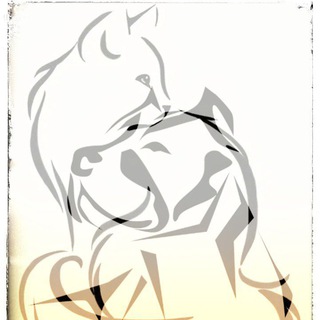 Логотип @oren_grumer - Oren_grumer