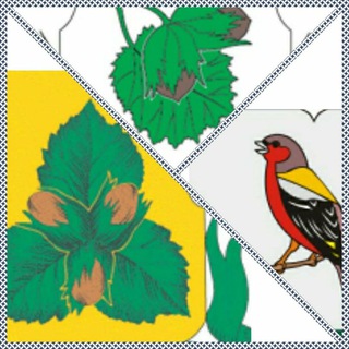 Логотип @orexovoborisovo - Орехово-Борисово Зябликово