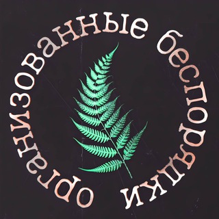 Логотип @orgdisorder - Организованные беспорядки