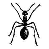 Логотип @orgrobot - OrgRobot