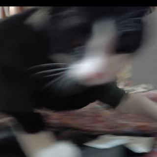 Логотип @orinaao - Чаеманы🥃😈💗😋