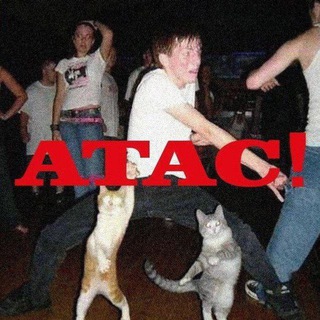 Логотип @oriteatas - АТАС!