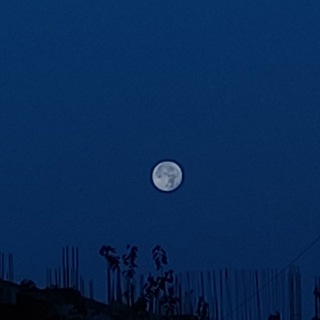 Логотип @ormarsrml - Ormarsrmx