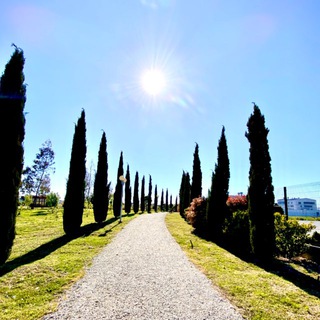 Логотип @ornitoparksochi - Природный орнитологический парк в Имеретинской низменности