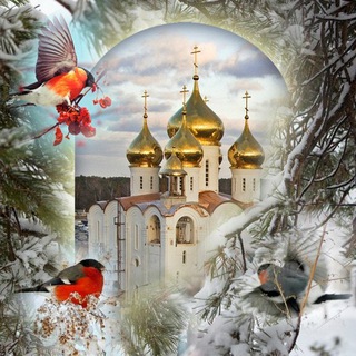 Логотип @orthodoxychurch - Как выжить во времена апостасии. Православие и жизнь