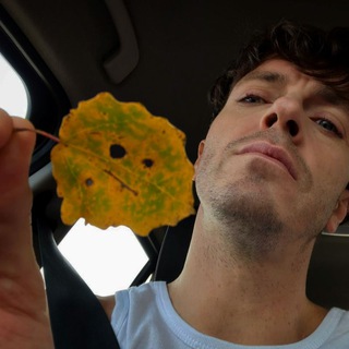 Логотип @osen_v_borodu - Осенний Арсений 🍁