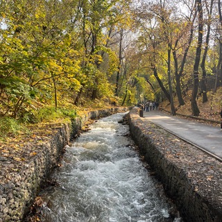 Логотип @osenc - Путь к Свету