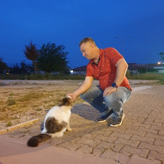 Логотип @osipov_doctor - Osipov_doctor