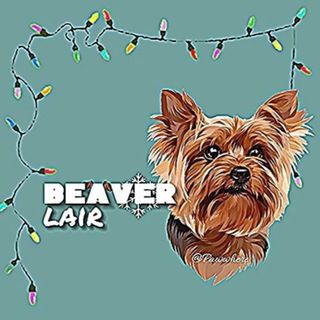 Логотип @osjehhehs - Интервью бобров🦫