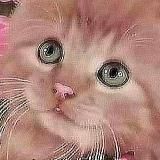 Логотип @oskar_ne_lox - ебанутые мемы и кеки