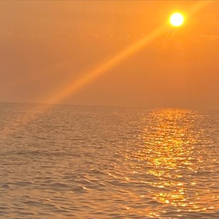 Логотип @osmyslenid - Осмысление дня