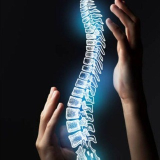 Логотип @osteopatiyamedipol - ОСТЕОПАТИЯ