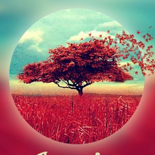 Логотип @ostrovok_mira - Эзотерика Саморазвитие Психология Цитаты Для души Афоризмы Высказывания Мысли