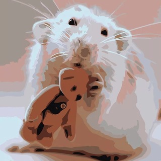 Логотип @osuditv - О(б)СУДИТЕЛЬНАЯ