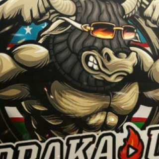 Логотип @ota91bey - Куча жанглари