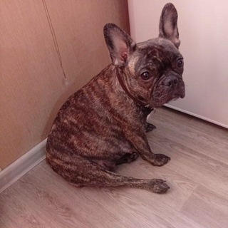 Логотип @otb88s - Нарезки ютуб смешные