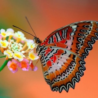 Логотип @otdohniglazami - Просто красиво.