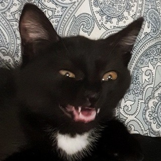 Логотип @otduska - Отдушка