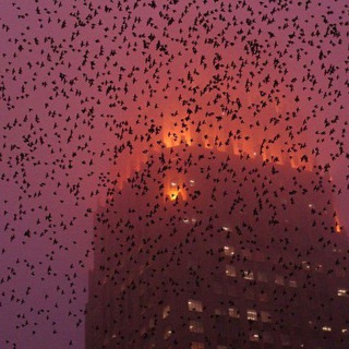 Логотип @othmangumm - Othman✍