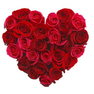 Логотип @otkritki_i_pozdravleniya - Открытки и Поздравления