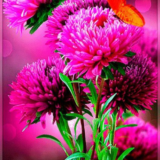 Логотип @otkritkisimenami - Именные открытки и поздравления