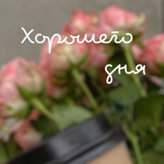 Логотип @otkrytki_na_kazhdyi_den_1 - Открытки на каждый день