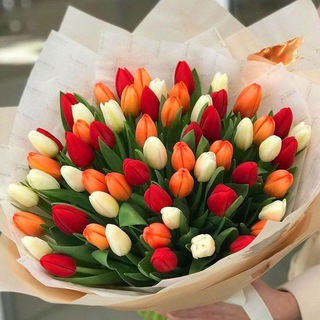 Логотип @otkrytki_pozdravleniua - Открытки и поздравления на каждый день. (СГ)