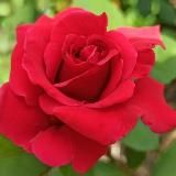 Логотип @otkrytki_pozhelanija - Открытки с добрыми пожеланиями